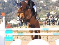 CSO